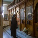 2015metdemetriusjan028
